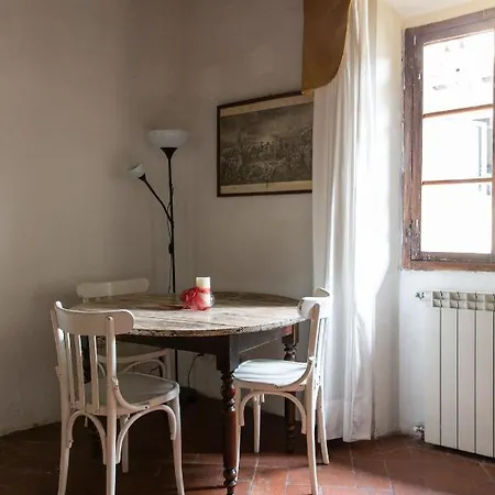 Apartment Comfy Near Palazzo Pitti Florenz